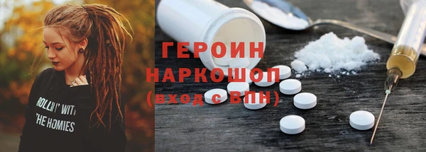 гашик Алексин