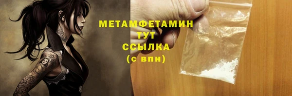 индика Новозыбков