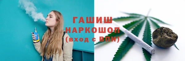 гашик Алексин