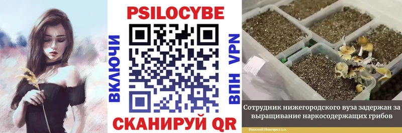 купить закладку  Алушта  Галлюциногенные грибы Psilocybe 